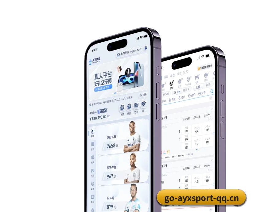 模块化服务矩阵,按项目与竞技维度科学分类(AYX)